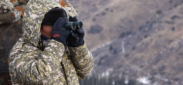 Токойдогу жан-жаныбарлар үчүн соттошуп. Кеминдиктердин тоо-таш аралаган видеосу Токойдогу жан-жаныбарлар үчүн соттошуп. Кеминдиктердин тоо-таш аралаган видеосу - Sputnik Кыргызстан