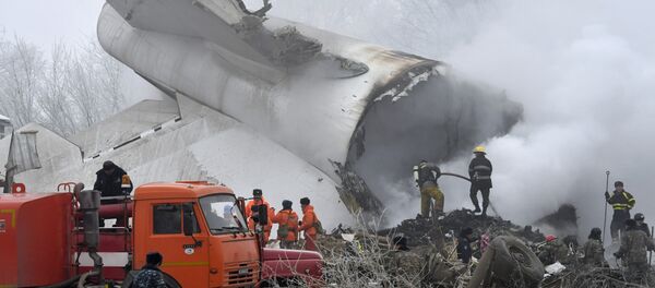 Главные события в Кыргызстане в 2017 году — timeline - Sputnik Кыргызстан