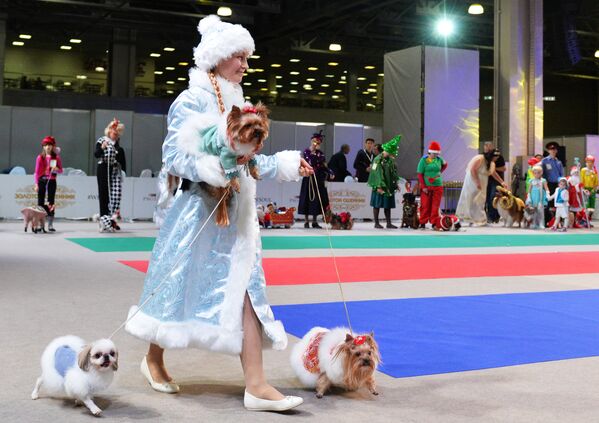 Собаки и их владельцы участвуют в конкурсе костюмов на выставке Золотой ошейник-2016 в Москве - Sputnik Кыргызстан