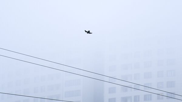 Туман в городе. Фото иллюстративное Туман в городе. Фото иллюстративное - Sputnik Кыргызстан