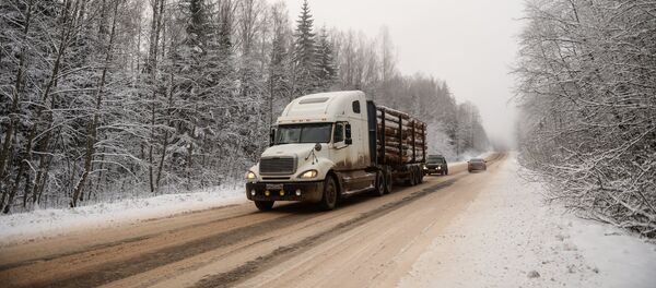 Повседневная жизнь - Sputnik Кыргызстан