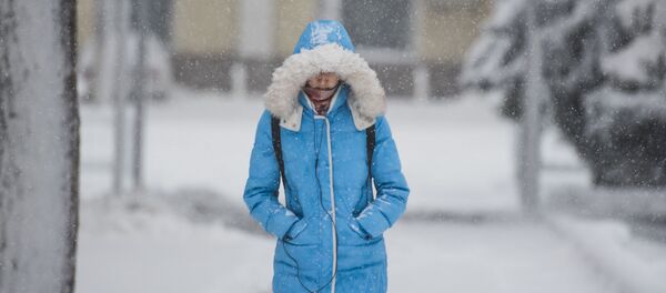 Обильный снегопад в Бишкеке Обильный снегопад в Бишкеке - Sputnik Кыргызстан