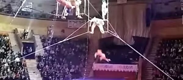 В Беларуси гимнастка сорвалась с высоты в цирке В Беларуси гимнастка сорвалась с высоты в цирке - Sputnik Кыргызстан