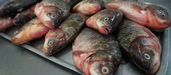 Центральный колхозный рынок в Краснодаре - Sputnik Кыргызстан