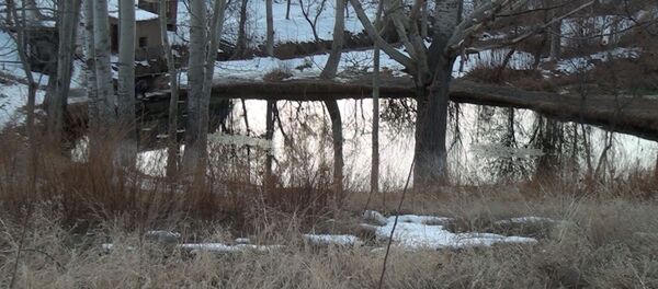 Приграничные вопросы Кыргызстана с Узбекистаном - Sputnik Кыргызстан