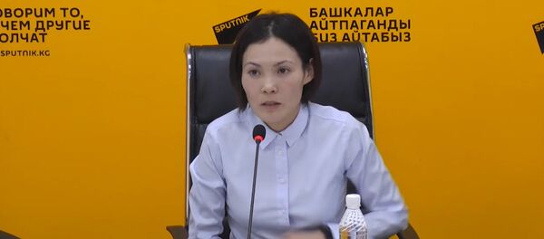 Воздух в Бишкеке в 2 раза грязнее, чем в Пекине, — эколог Воздух в Бишкеке в 2 раза грязнее, чем в Пекине, — эколог - Sputnik Кыргызстан