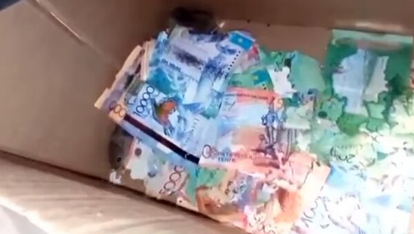 Поймали с поличным — в Астане мыши погрызли деньги в банкомате. Видео - Sputnik Кыргызстан