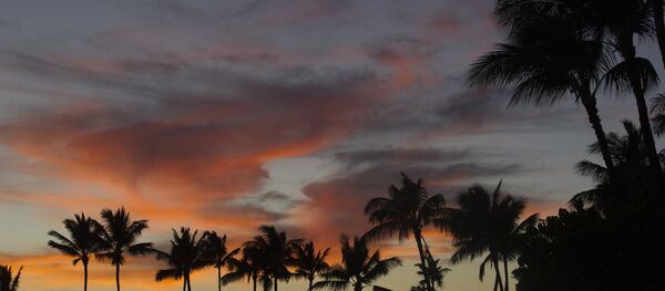 Гавайи. Архивное фото - Sputnik Кыргызстан