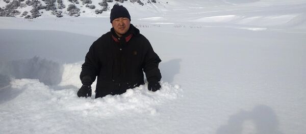 В предгорной зоне Ак-Сууйского района Иссык-Кульской области выпал снег, высота которого местами достигает одного метра В предгорной зоне Ак-Сууйского района Иссык-Кульской области выпал снег, высота которого местами достигает одного метра - Sputnik Кыргызстан