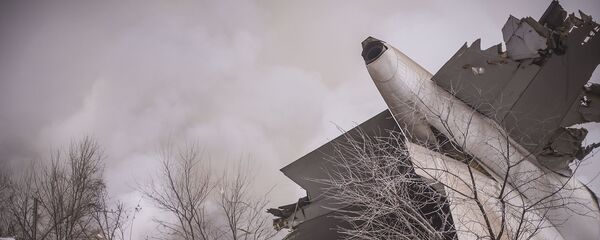 Из огня слышны были крики детей, от них я сошел с ума. Жизнь в Дача СУ. Лонгрид - Sputnik Кыргызстан