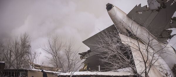 Тирүүлөй өрттөнгөндөр азыр да көз алдымда. Дача Судагы каргашага 1 жыл. Лонгрид Тирүүлөй өрттөнгөндөр азыр да көз алдымда. Дача Судагы каргашага 1 жыл. Лонгрид - Sputnik Кыргызстан