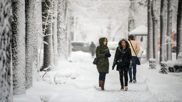 Девушки идут по улице во время снегопада. Архивное фото - Sputnik Кыргызстан