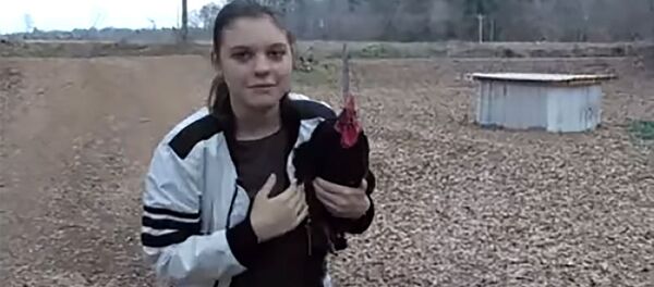 Мектептен кожойкесин чыдамсыздык менен күткөн короздун видеосу - Sputnik Кыргызстан