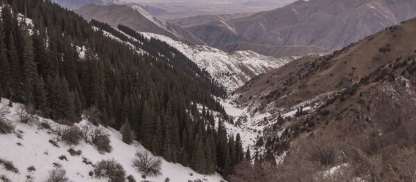 Тоо. Архив - Sputnik Кыргызстан