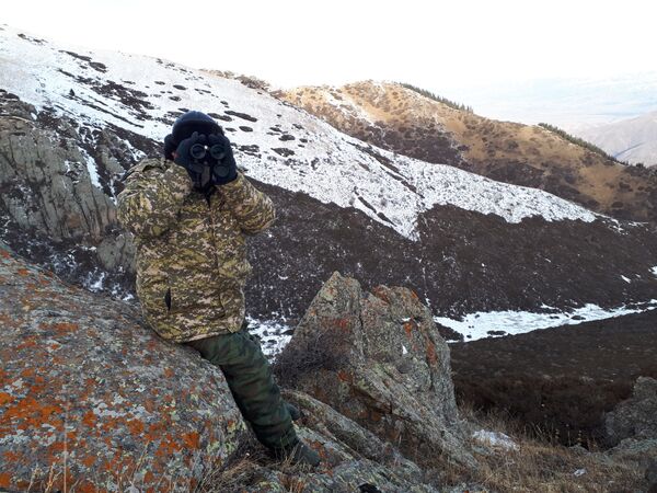 Заповедник Шумкар-Тор в Кеминском районе - Sputnik Кыргызстан