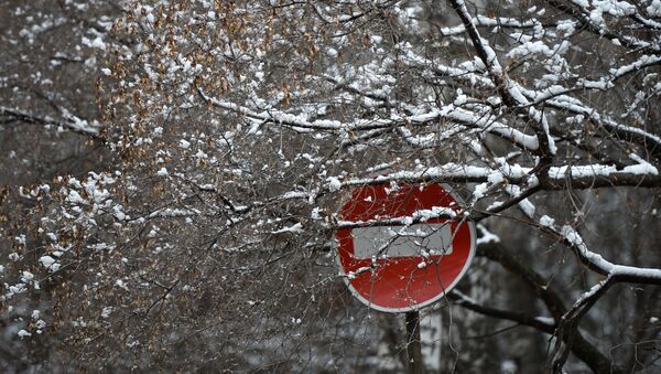 Майский снег в Новосибирске - Sputnik Кыргызстан
