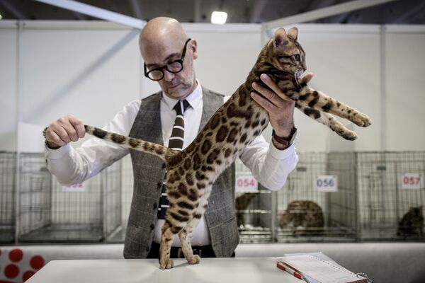Выставка Paris Animal Show в Париже - Sputnik Кыргызстан