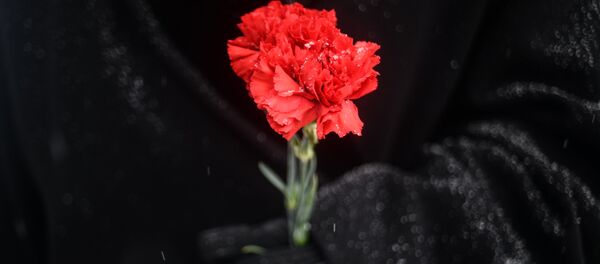 День Неизвестного Солдата в городах России - Sputnik Кыргызстан