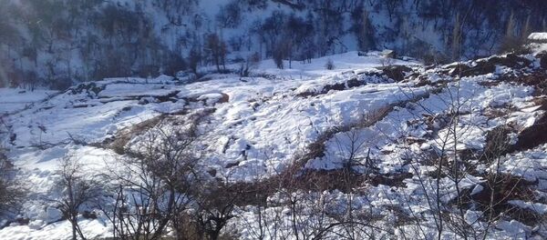 Жалал-Абад облусунун Сузак районундагы Орток айылында жер көчкү жүрүү коркунучу пайда болгонун ӨКМ билдирди - Sputnik Кыргызстан