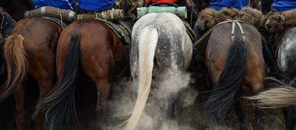 Көк-бөрү оюнчулары. Архив - Sputnik Кыргызстан