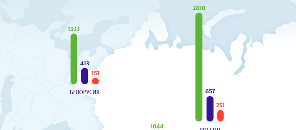 ЕАЭБ өлкөлөрүндөгү жашоо ЕАЭБ өлкөлөрүндөгү жашоо - Sputnik Кыргызстан