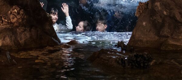 Санкт-Петербургский океанариум Санкт-Петербургский океанариум - Sputnik Кыргызстан