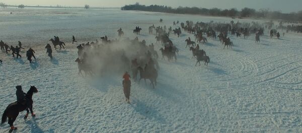 Битва за машины и верблюдов — видео массовой игры кок-бору в Дача СУ - Sputnik Кыргызстан