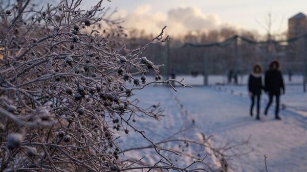 Зимняя погода. Архивное фото - Sputnik Кыргызстан