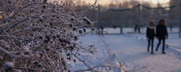 Шаар тургундары. Архив - Sputnik Кыргызстан