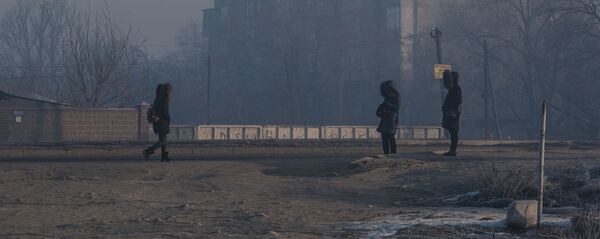 Сильные морозы в Бишкеке - Sputnik Кыргызстан