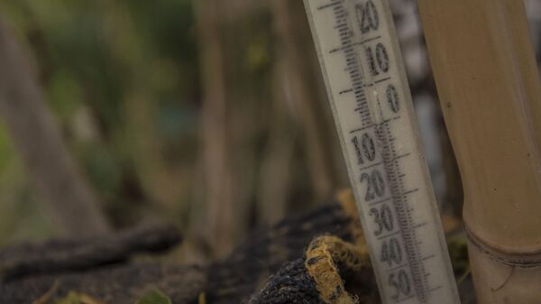 Показания термометра. Архивное фото - Sputnik Кыргызстан