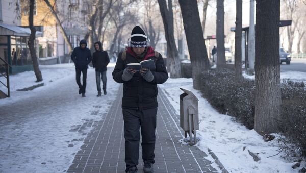 Көчөдө бараткан адам. Архив - Sputnik Кыргызстан