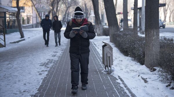 Прохожий на одной из улиц Бишкека. Архивное фото - Sputnik Кыргызстан