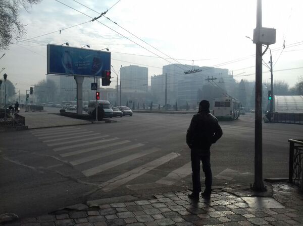 Командировка Асель Минбаевой в Душанбе - Sputnik Кыргызстан