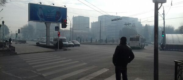 Душанбе. Архив - Sputnik Кыргызстан