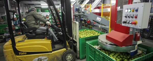 Погрузчик в цеху сортировки и хранения в логистическом центре. Архивное фото - Sputnik Кыргызстан