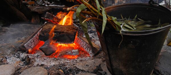 Отдых в British бане на горнолыжном курорте Красная Поляна - Sputnik Кыргызстан