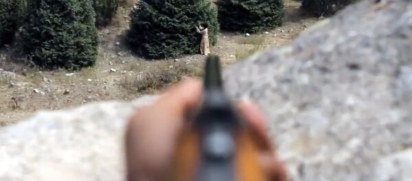 Сохрани природу, убей зверя в себе! Интересный ролик выложили в Сети - Sputnik Кыргызстан