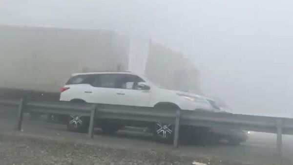 Из-за тумана в Дубае грузовик снес 44 машины, стоявшие на обочине, — видео - Sputnik Кыргызстан