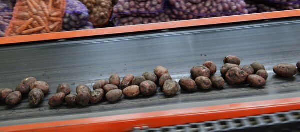 Овощехранилище в Свердловской области - Sputnik Кыргызстан