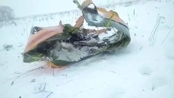 Видео с места падения пассажирского самолета Ан-148 в Подмосковье - Sputnik Кыргызстан