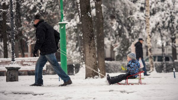 Мужчина катает ребенка на санках. Архивное фото - Sputnik Кыргызстан