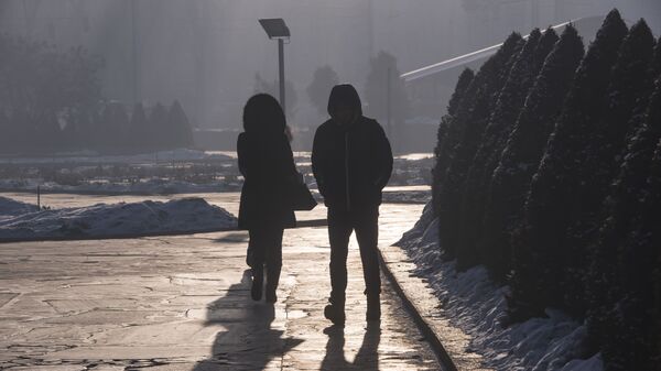 Горожане идут по улице во время сильных морозов. Архивное фото - Sputnik Кыргызстан