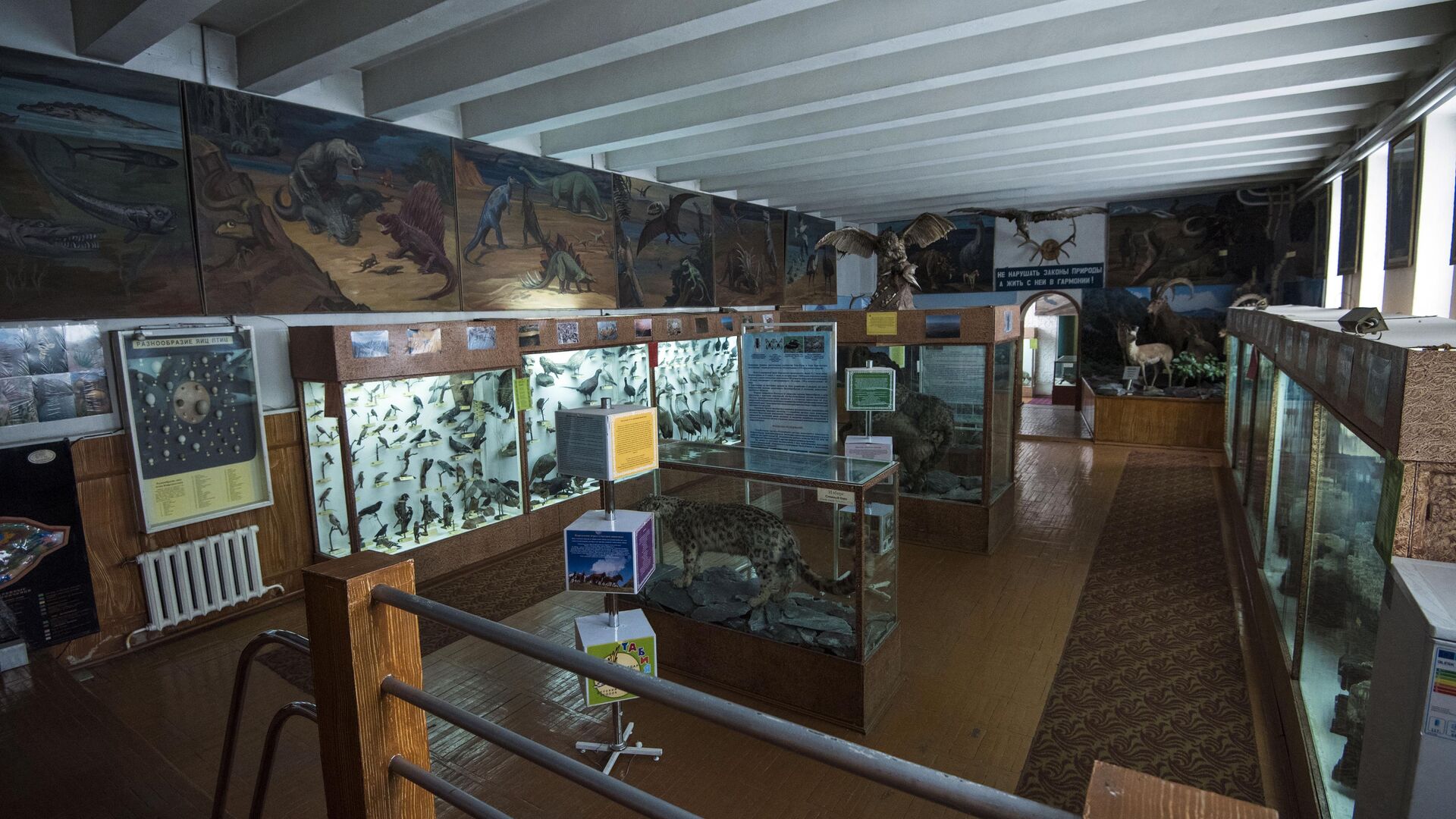 Зоологический музей в здании НАН КР в Бишкеке - Sputnik Кыргызстан, 1920, 09.12.2021