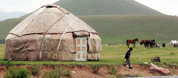 Горное пастбище в Суусамырской долине - Sputnik Кыргызстан