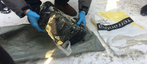 Бишкекте Ички иштер министрлигинин мурдагы жана азыркы кызматкерлери 8 килограмм гашиш менен кармалды - Sputnik Кыргызстан