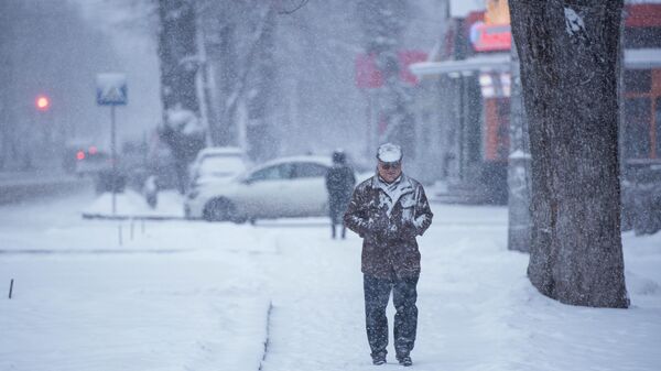 Мужчина идет по улице во время обильного снегопада в Бишкеке. Архивное фото - Sputnik Кыргызстан