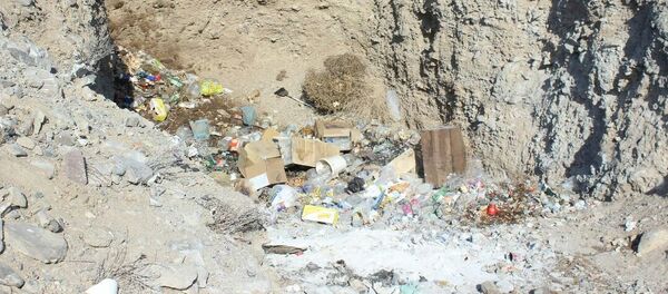 Ысык-Көл облусундагы Боом капчыгайындагы Боз Салкын, Улар Тоо, Бест Фуд, Ак Жол, Жибек жолу, Фут зон, Кербен Сарай кафелеринде текшерүү жүргүзүлүп, санитардык жана өрт коопсуздугун сактабагандарга 5-35 миң сом өлчөмүндөгү айып салынды Ысык-Көл облусундагы Боом капчыгайындагы Боз Салкын, Улар Тоо, Бест Фуд, Ак Жол, Жибек жолу, Фут зон, Кербен Сарай кафелеринде текшерүү жүргүзүлүп, санитардык жана өрт коопсуздугун сактабагандарга 5-35 миң сом өлчөмүндөгү айып салынды - Sputnik Кыргызстан