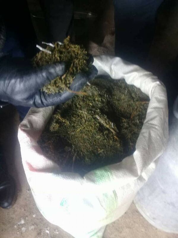 Задержание жителя Токтогульского района Джалал-Абадской области почти со 100 килограммами наркотических средств - Sputnik Кыргызстан