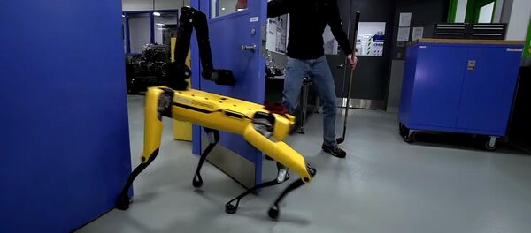 Собаку-робота учат сопротивляться человеку — удивительное видео - Sputnik Кыргызстан